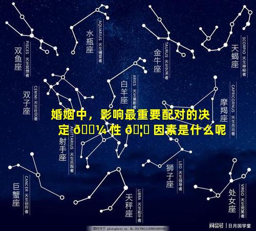 婚姻中，影响最重要配对的决定 🐼 性 🦅 因素是什么呢